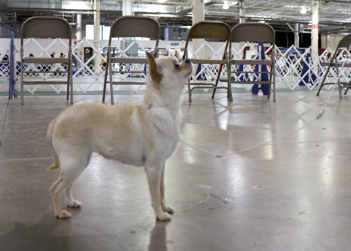 %_tempFileNameA0430%