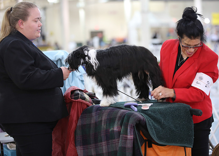 %_tempFileNameA6757%