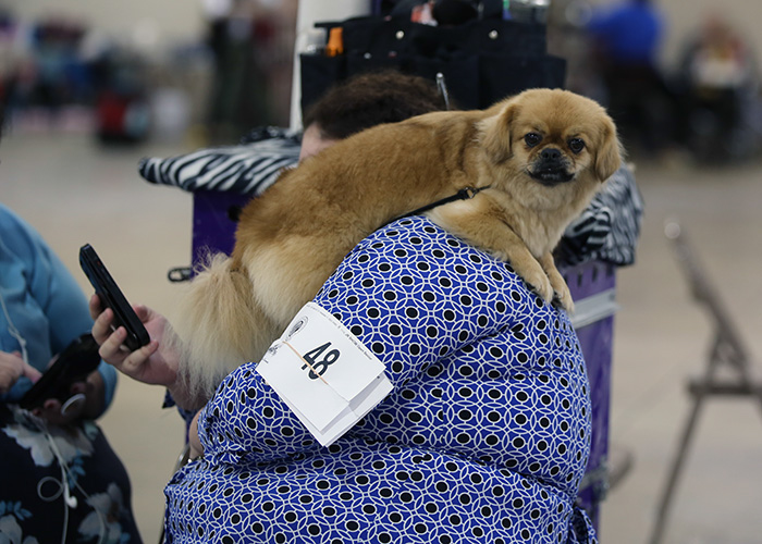 %_tempFileNameA6764%