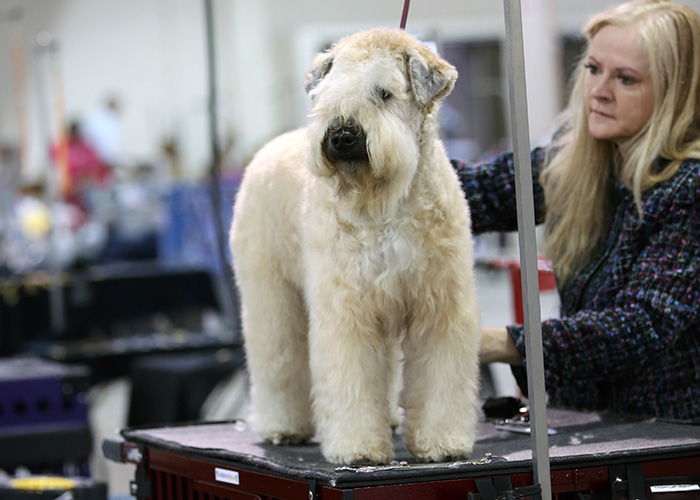 %_tempFileNameA6767%