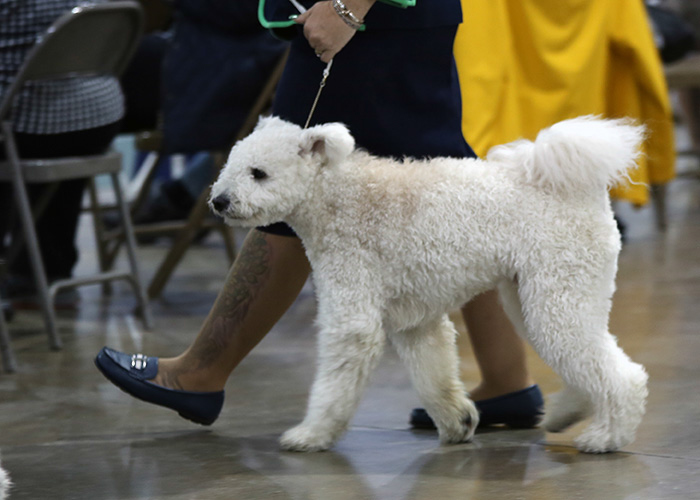 %_tempFileNameA6807%