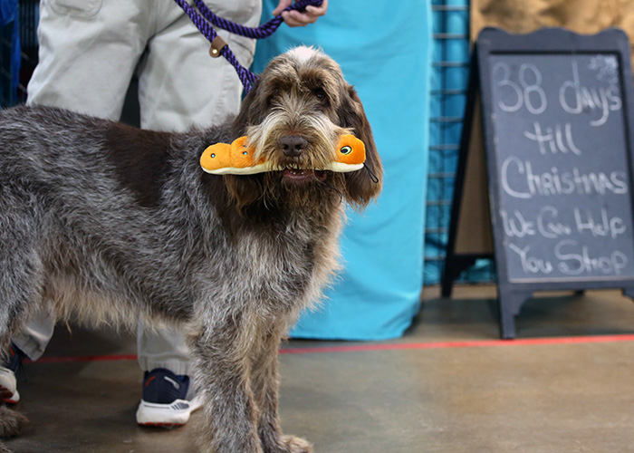 %_tempFileNameA6817%