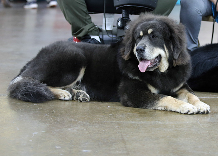 %_tempFileNameA6828%