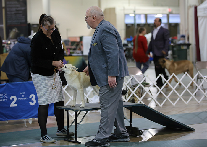 %_tempFileNameA6834%