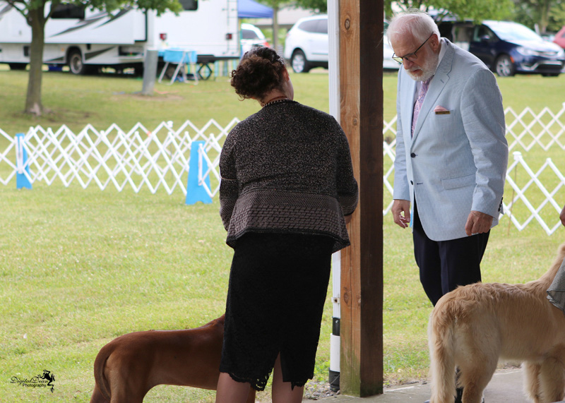 %_tempFileNameA0254%