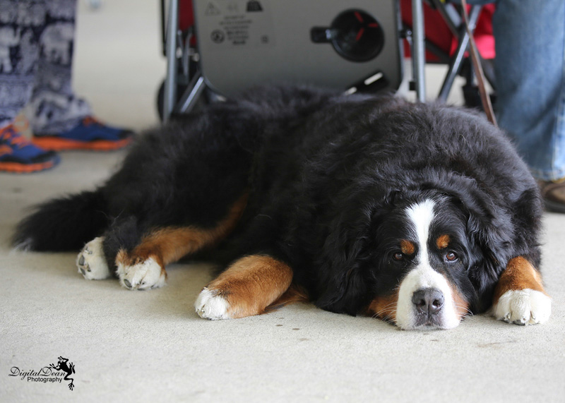 %_tempFileNameA6646%