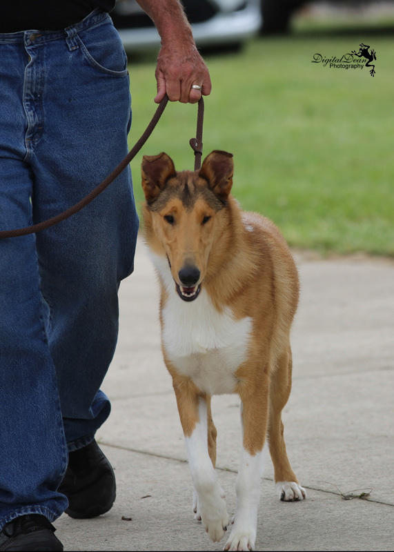 %_tempFileNameA6666%