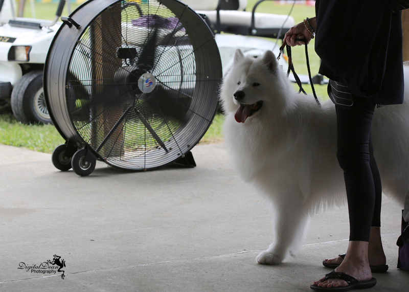 %_tempFileNameA6680%