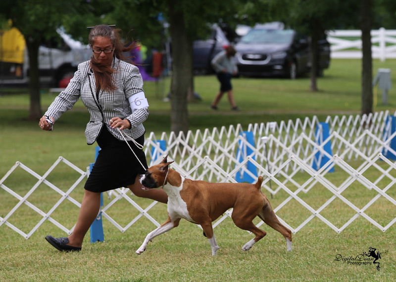 %_tempFileNameA6688%