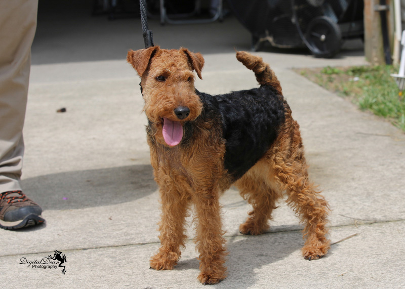 %_tempFileNameA6693%