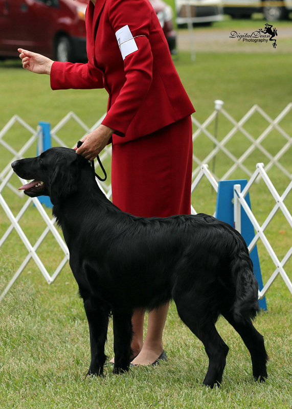 %_tempFileNameA6715%